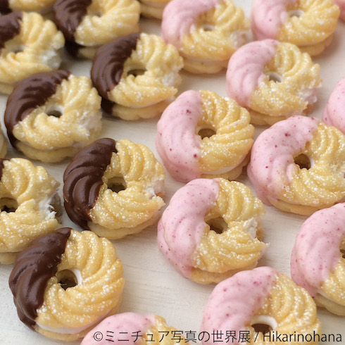 BACON ミニチュア写真の世界展 Hikarinohana