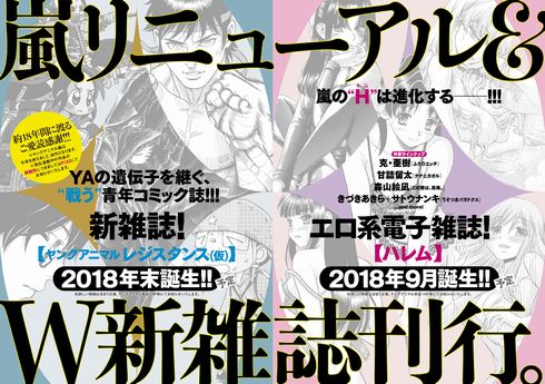 ヤングアニマル嵐　休刊　移籍