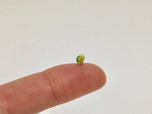 フジイカクホ ミニチュア カメ