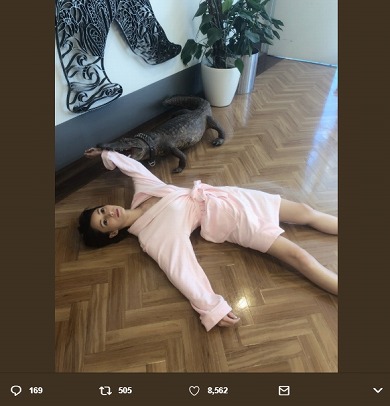 ダレノガレ明美 死んだふり マネキン 家に帰ると妻が必ず死んだふりをしています。 榮倉奈々 安田顕 ワニ