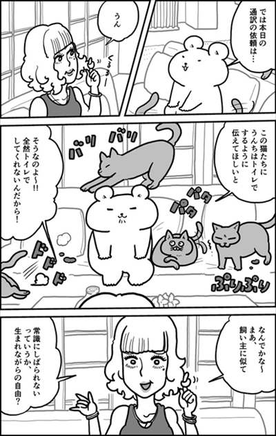 クマの通訳さん