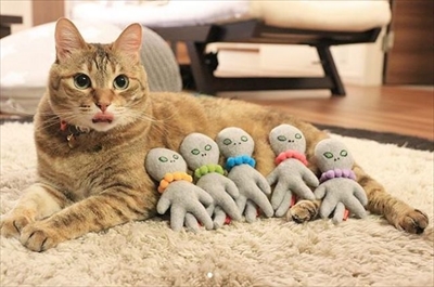 舌が出ている猫ちゃん