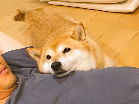 ALT