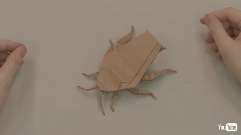 金鳥　キンチョー　新聞広告　缶　スプレー　取材