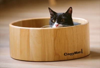 江戸ねこ茶屋