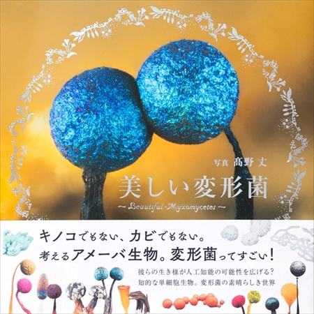 美しい変形菌