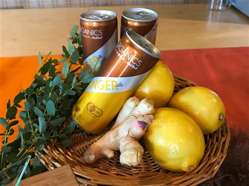 レッドブル、エナジードリンクじゃない「ORGANICS by Red Bull」を発売　リフレッシュできるオーガニックな味わい