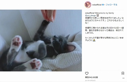 ローラ 保護猫 保護犬 保健所 アニマルシェルター 滝川クリステル ダレノガレ明美 Instagram