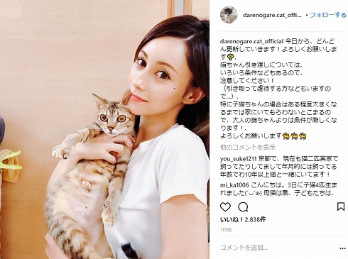 ローラ 保護猫 保護犬 保健所 アニマルシェルター 滝川クリステル ダレノガレ明美 Instagram
