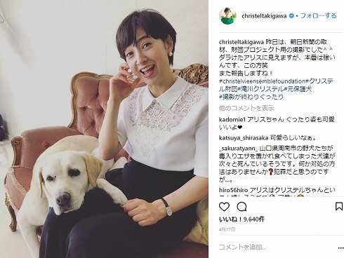 ローラ 保護猫 保護犬 保健所 アニマルシェルター 滝川クリステル ダレノガレ明美 Instagram