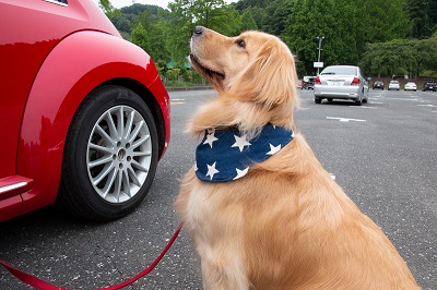 こー君　プール