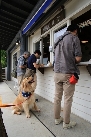 こー君　プール