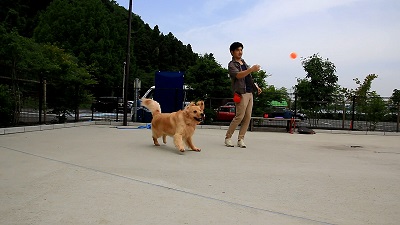 こー君　プール