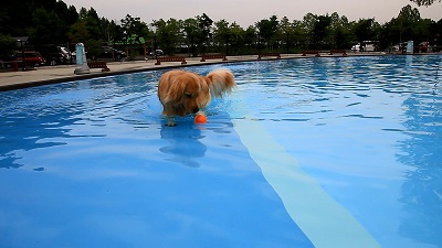 こー君　プール