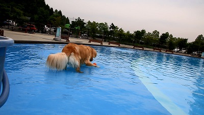 こー君　プール