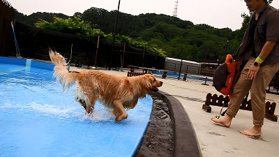 こー君　プール