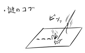 謎のコブ