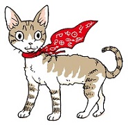 来れば？ ねこ占い屋