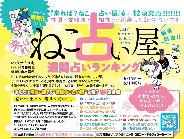 来れば？ ねこ占い屋