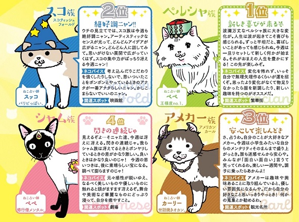 来れば？ ねこ占い屋