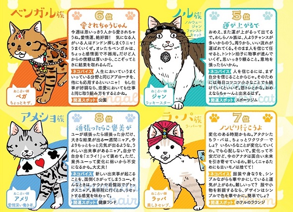 来れば？ ねこ占い屋