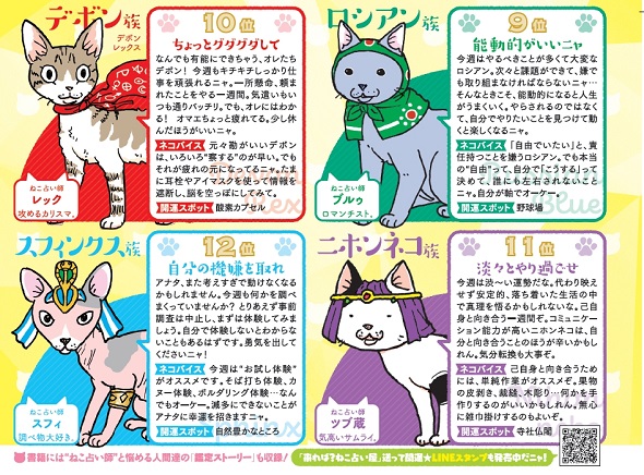 来れば？ ねこ占い屋