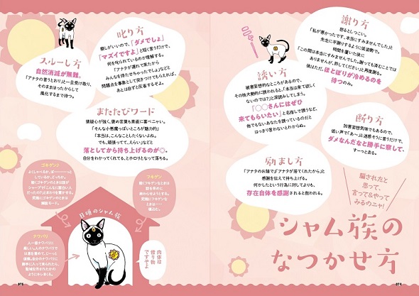 来れば？ ねこ占い屋