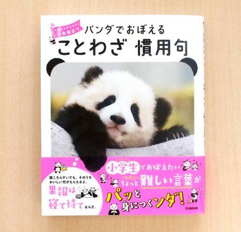 パンダでおぼえる　ことわざ慣用句