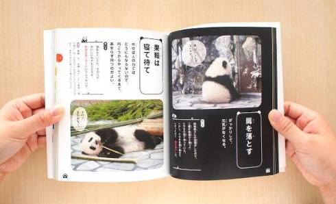 パンダでおぼえる　ことわざ慣用句