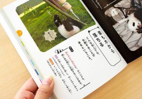 ことわざ・慣用句 パンダ❤同梱　100引❤299❤ パンダでおぼえる ことわざ慣用句 | 学研プラス, 福田豊文, 今泉