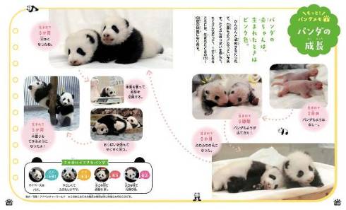 パンダでおぼえる　ことわざ慣用句