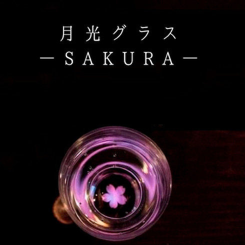 ヴィレッジヴァンガード 月光グラス 冷酒グラス