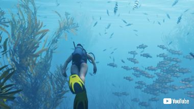 サメ 映画 ゲーム マンイーター