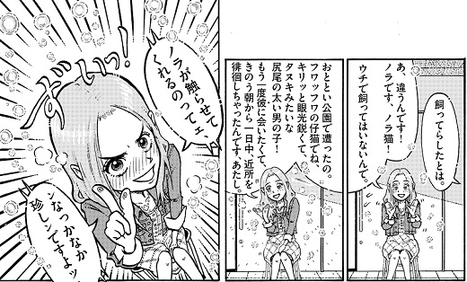 猫で人魚を釣る話 菅原亮きん
