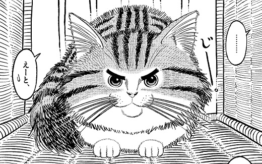 猫で人魚を釣る話 菅原亮きん