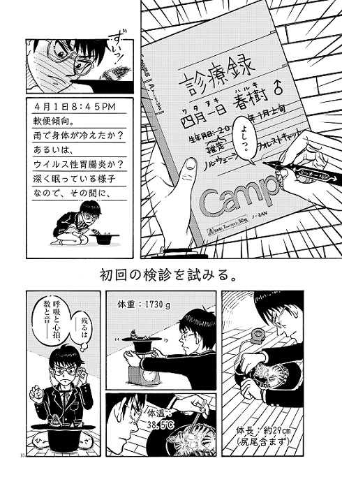猫で人魚を釣る話 菅原亮きん