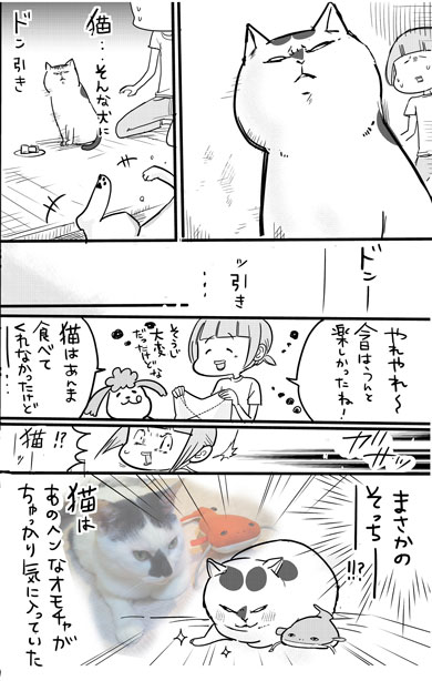 犬と猫どっちも飼ってる 漫画 松本ひで吉 単行本化