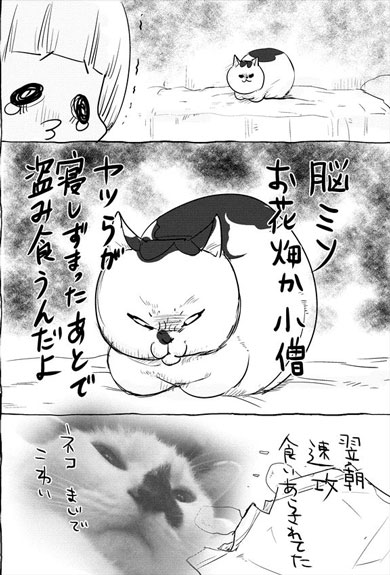 犬と猫どっちも飼ってる 漫画 松本ひで吉 単行本化