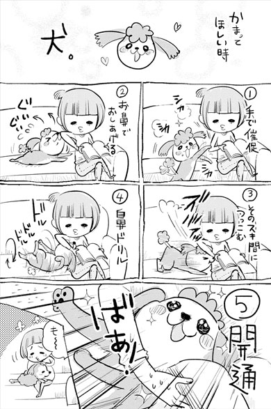 犬と猫どっちも飼ってる 漫画 松本ひで吉 単行本化