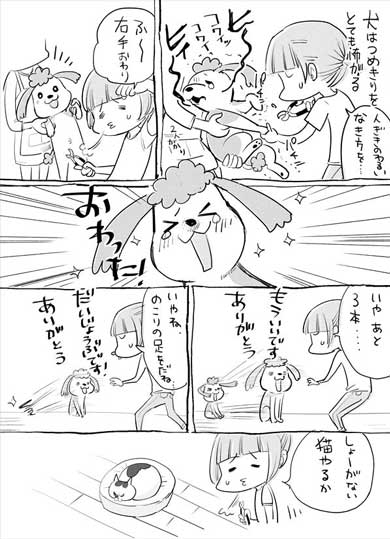 犬と猫どっちも飼ってる 漫画 松本ひで吉 単行本化