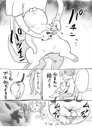 犬と猫どっちも飼ってる 漫画 松本ひで吉 単行本化