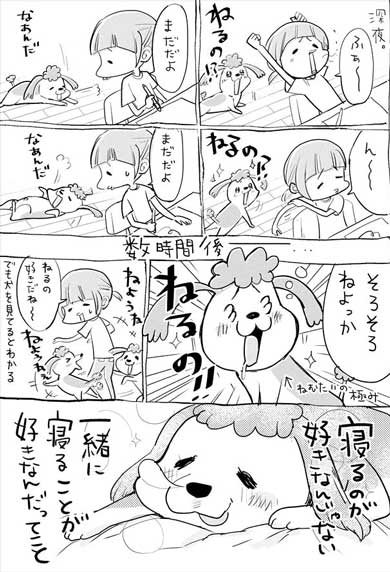 犬と猫どっちも飼ってる 漫画 松本ひで吉 単行本化