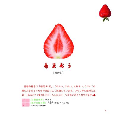 小学館 いちご 断面 図鑑