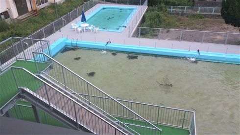 廃校　水族館　むろと　室戸市