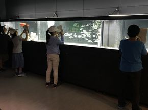 廃校　水族館　むろと　室戸市