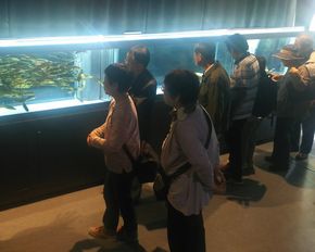 廃校　水族館　むろと　室戸市