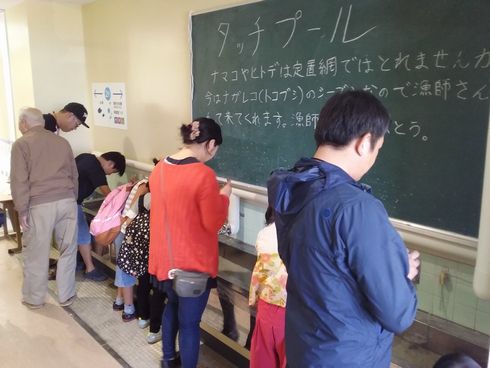 廃校　水族館　むろと　室戸市