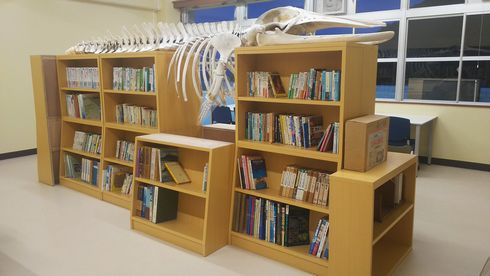 廃校　水族館　むろと　室戸市