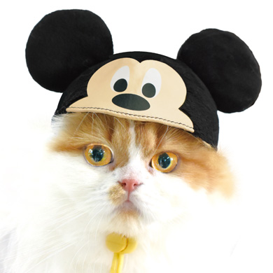 necos/ディズニースタンダードキャラクターズ