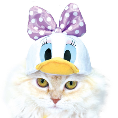 necos/ディズニースタンダードキャラクターズ